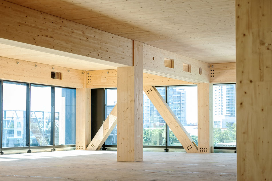 Picture of inside Australia's tallest engineered timber tower