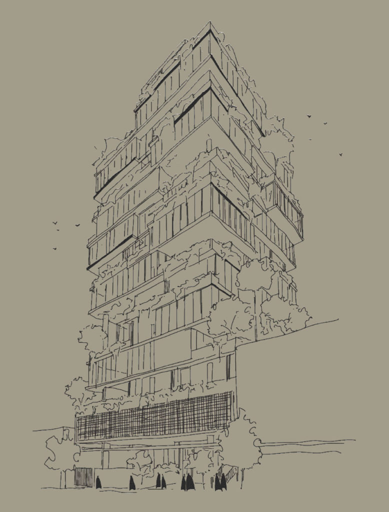 Sketch diagram of the proposed 'The Olive Branch' commercial building (facade detail)