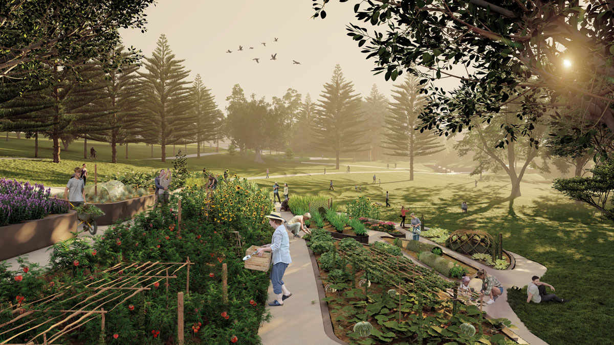Victoria Park Community edible gardens
